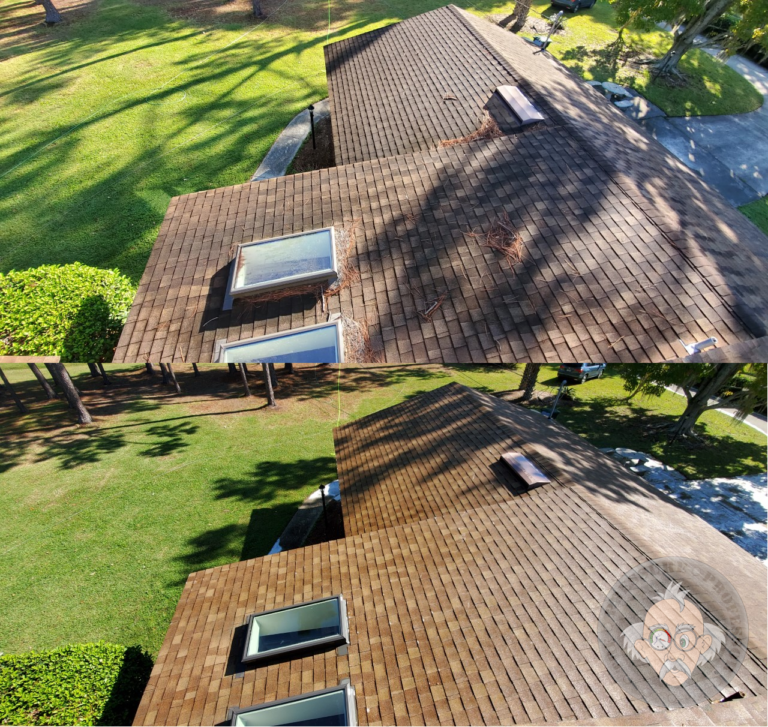 Bring new life to your roof with safe low pressure roof cleaning